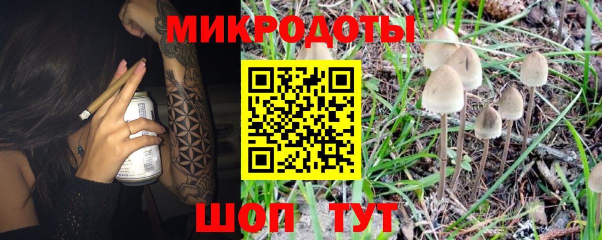 Галлюциногенные грибы Psilocybe Нижнекамск