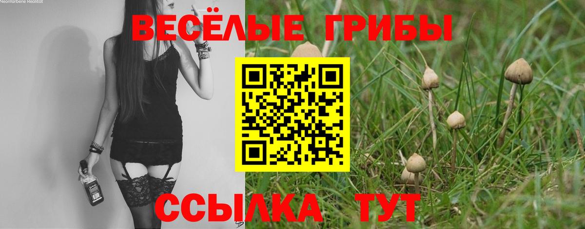 Галлюциногенные грибы Psilocybe  Галлюциногенные грибы ЛСД  Нижнекамск  Вход с VPN 